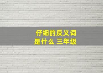 仔细的反义词是什么 三年级